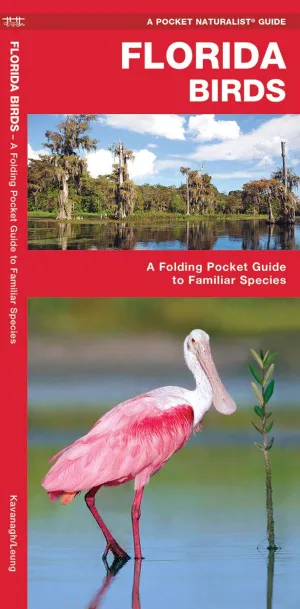 Florida Birds: A Folding Pocket Guide to Familiar Species (Nature Observation North America) Pamphlet  February 28, 2025