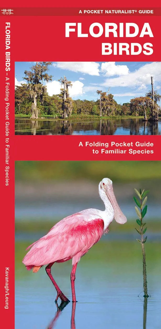 Florida Birds: A Folding Pocket Guide to Familiar Species (Nature Observation North America) Pamphlet  February 28, 2025